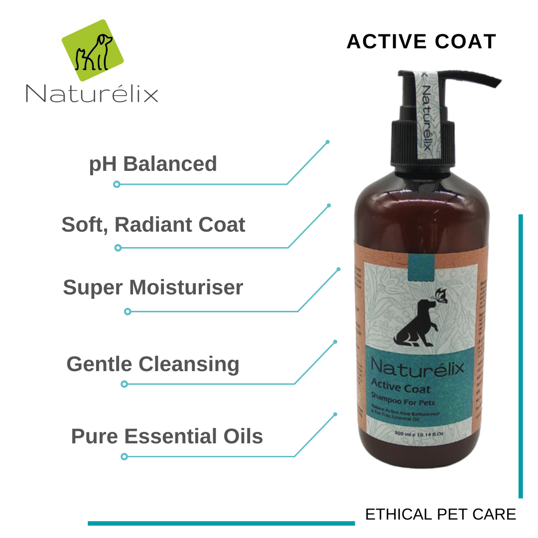 Doterra dog outlet shampoo